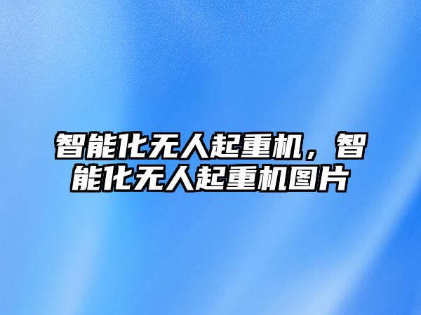 智能化無人起重機，智能化無人起重機圖片